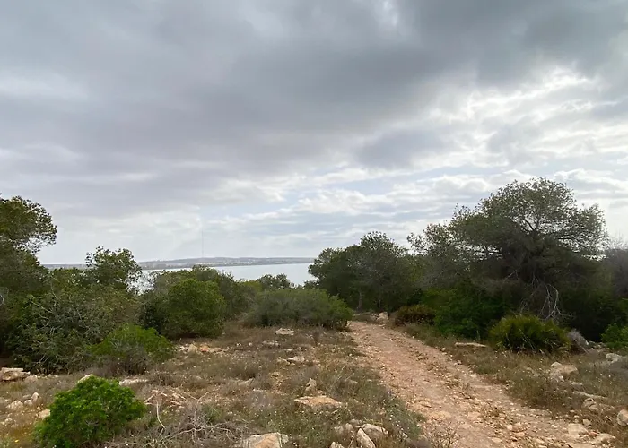 Laguna Del Flamenco